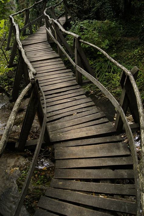 The winding path stock photo. Image of green, countryside - 21680570