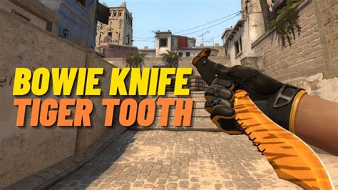 Bowie Knife Tiger Tooth | CSGO Knife Showcase - YouTube