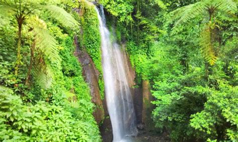 Curug Nangka, Wisata Air Terjun Menakjubkan di Bogor - iTrip