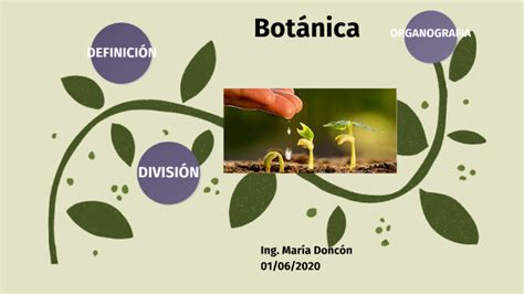 Botánica Sistemática by María Doncón on Prezi