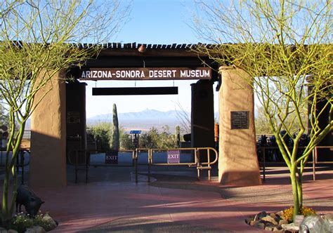 Arizona-Sonora Desert Museum Art Institute - Tucson AZ - Museum - ArtGeek