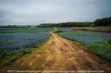 5 Texas Landscape Pictures - James Johnston