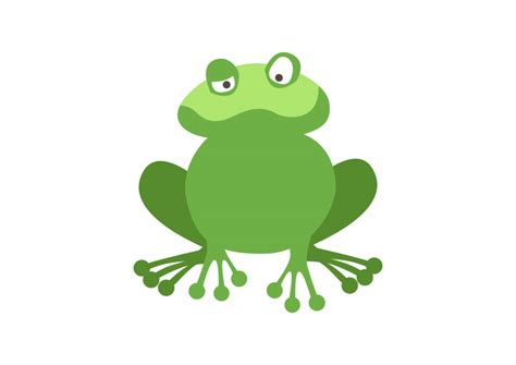 Flat Frog Vector Illustration