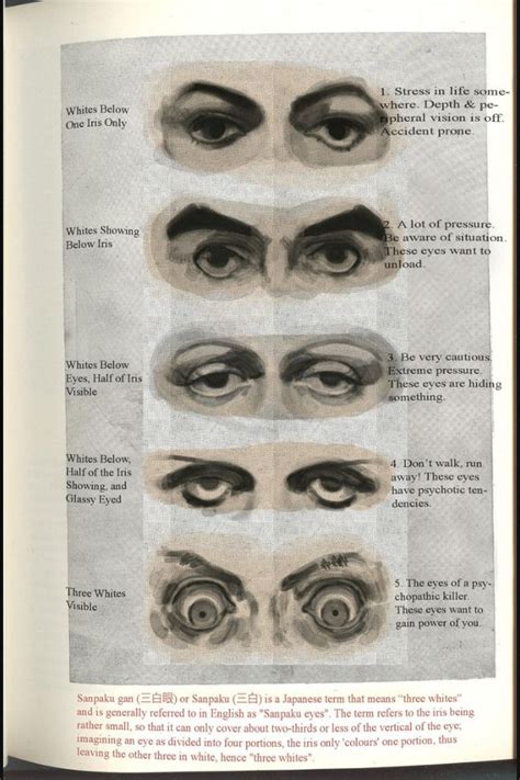 Sanpaku What the eyes are telling you!? Pose Reference Photo, Art Reference Photos, Drawing ...