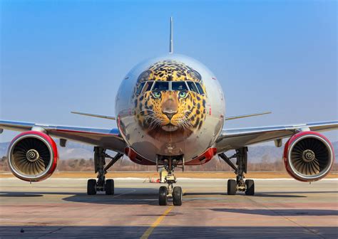 The best airplane liveries in the world and their meanings