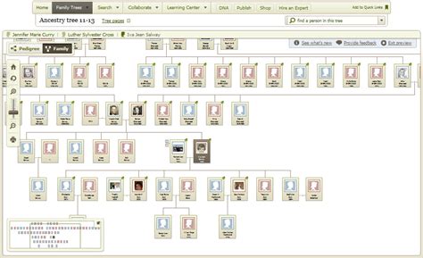 Member Trees: A New Way to View Your Ancestry.com Member Tree