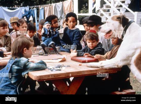 The Little Rascals Year : 1994 USA Director : Penelope Spheeris Jordan ...