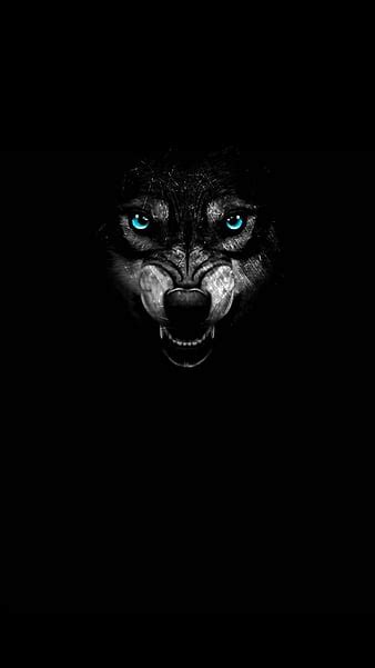 Cool Black Wolf Backgrounds