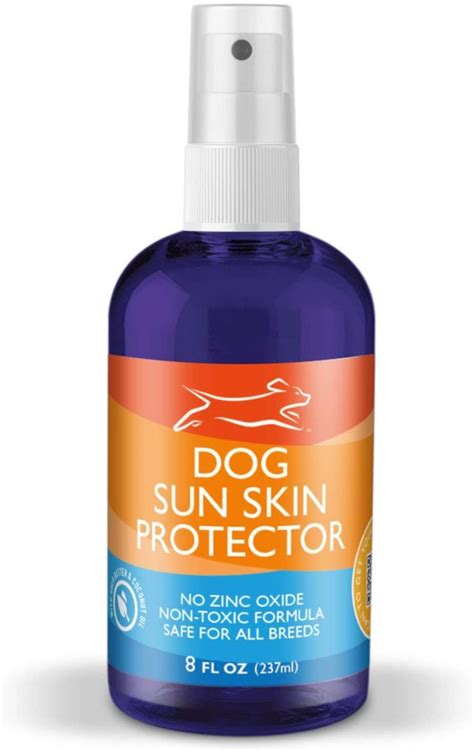 Best Dog Sunscreens to Prevent Sunburn - Bone & Yarn