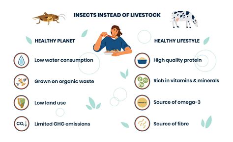 Advantages of eating insects for planet and for health infographics vector banner. Insects ...