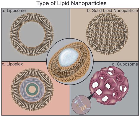 Lipid-based colloidal nanoparticles for applications in targeted ...