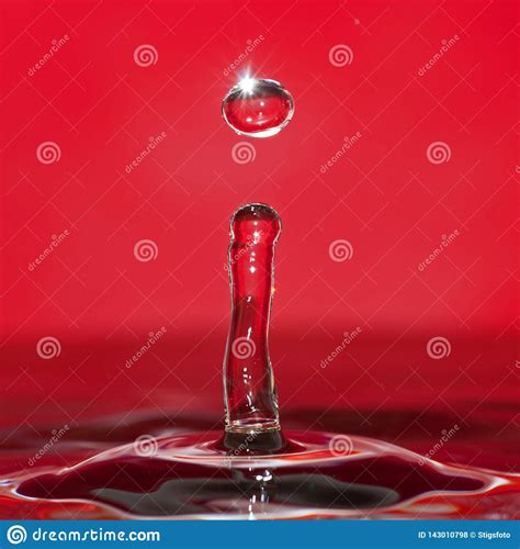 Macro shot of water drops. stock photo. Image of detailing - 143010798