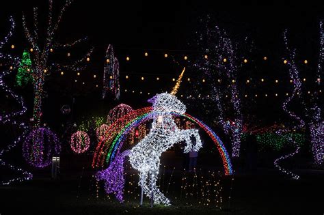 How to Enjoy NC Arboretum Winter Lights (10 Important Tips!)