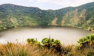 Bisoke Mountain Hiking in Rwanda - All info about Mt. Bisoke