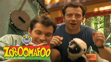 Zoboomafoo 140 - Bzzz (Full Episode) - YouTube