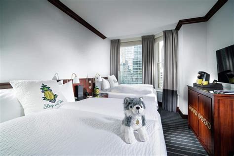 [UPDATED] 39 Dreamy Chicago Illinois Pet-Friendly Hotels (2021)