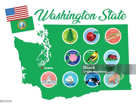 Washington State Symbols Stok Vektör Sanatı & ABD‘nin Daha Fazla ...