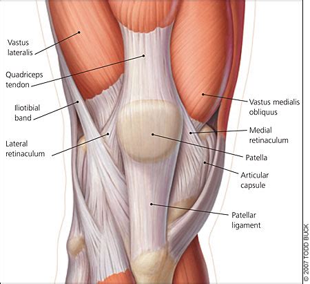 Management of Patellofemoral Pain Syndrome | AAFP