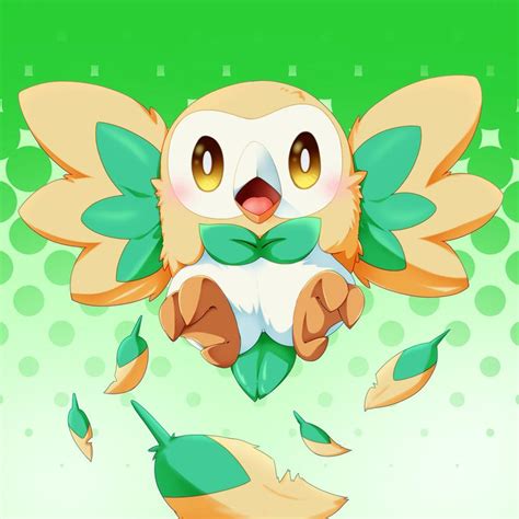 Pokemon Rowlet Wallpapers - Top Free Pokemon Rowlet Backgrounds ...