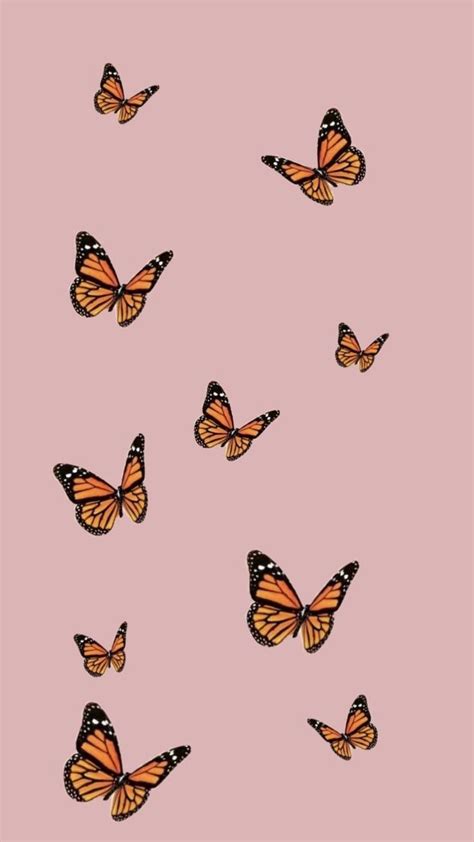 Cute Red Butterfly Wallpapers - Top Free Cute Red Butterfly Backgrounds - WallpaperAccess