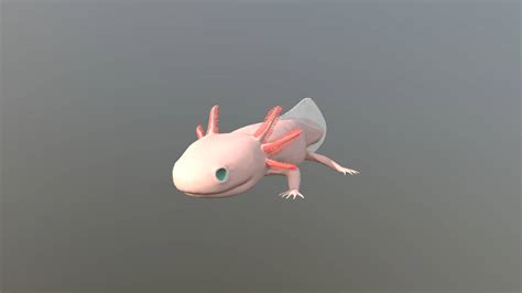 [100+] Axolotl Wallpapers | Wallpapers.com