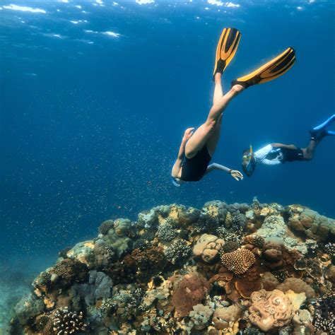 The Top 10 Best Snorkeling Spots In The US – DesertDivers