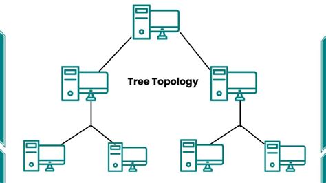 Tree Topology- Definition, Types, Advantages and Disadvantages