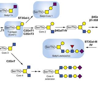 The molecular regulation of the GALA pathway. Under normal conditions ...