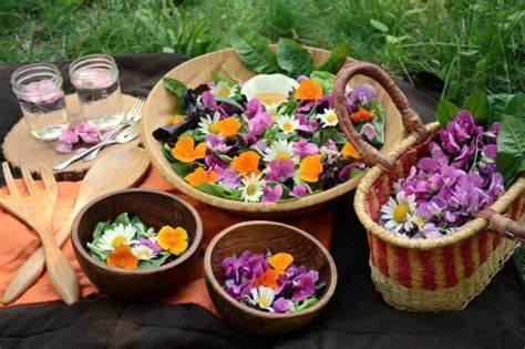 10 DIY Edible Flower Food Recipes For Summer - Shelterness