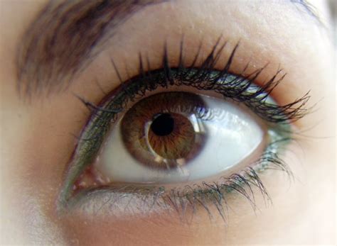 Natural Eye Creams: The Best in Brightening, Tightening and De-Puffing ...