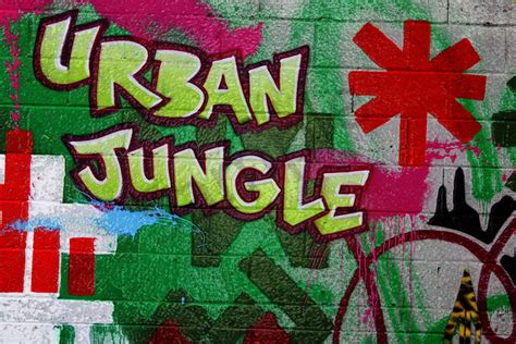 Urban Jungle|Fine Art Photography by Todd Breitling|Graffiti and Street ...