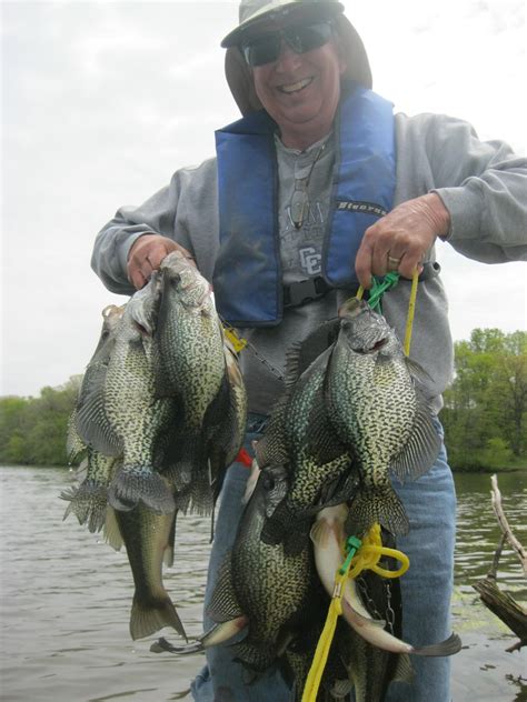 BWCA Fishing was good in Missouri today! Boundary Waters Listening Point - General Discussion