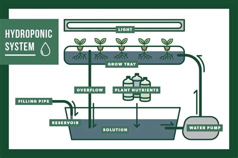 How to Plan a Hydroponic System | Pure Greens Container Farms