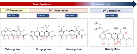 Figure 1 from A Review of Systemic Minocycline Side Effects and Topical Minocycline as a Safer ...