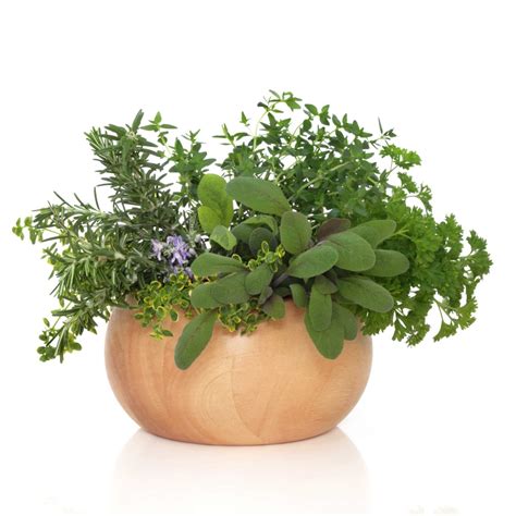 Parsley, Sage, Rosemary and Thyme Vinegar – Versatile Vinegar