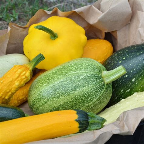 9 Types of Summer Squash (and How to Cook Them)