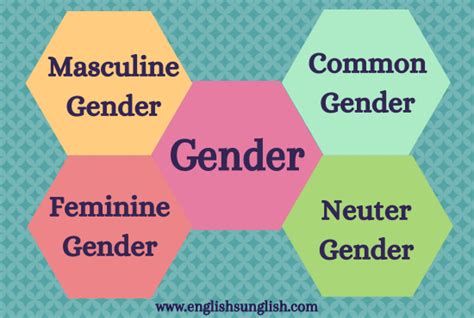 gender nouns| types, definition, examples, formation - English Saga