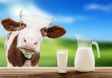 1,557,377 Milk Stock Photos - Free & Royalty-Free Stock Photos from ...