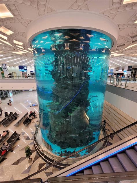 Aquarium at the arrivals hall of Jeddah airport : r/Aquariums