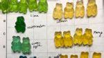 Why One Scientist's Hilarious Obsession With Gummy Bears Is Going Viral ...