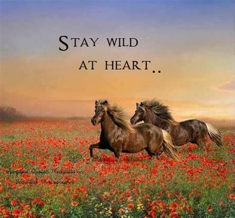 Stay wild at heart.. | Quotes for Spiritually minded people