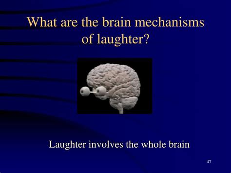 PPT - Our Ancient Laughing Brain PowerPoint Presentation, free download ...