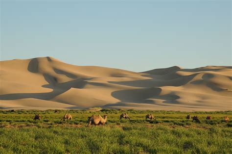 Khongor Sand Dunes in Umnugobi - Escape To Mongolia