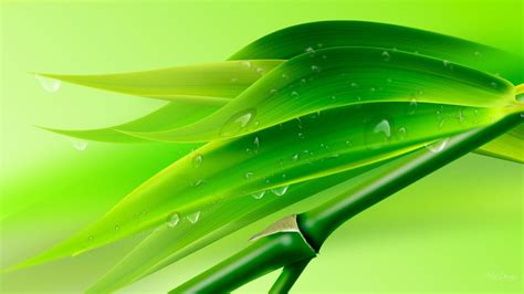 Green Bamboo Wallpapers - Wallpaper Cave