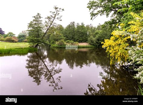 Overhanging tree hi-res stock photography and images - Alamy