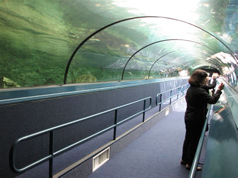 Sydney Aquarium 2007 - The best shark tunnel I have ever experienced ...