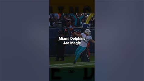 Our New Miami Dolphins Chant Song 2023 pre release - YouTube