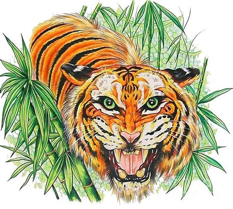 Tiger Roar Drawing by Kimberlee Ketterman Edgar | Fine Art America