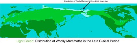 Species range of the Wooly Mammoth at the height of the last glacial maximum 18,000 years ago ...