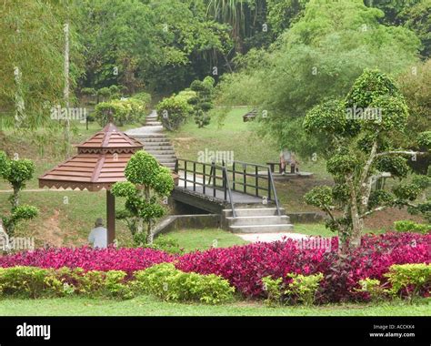 VIEW OF BOTANICAL GARDENS, PENANG HILL, , PENANG, MALAYSIA Stock Photo ...